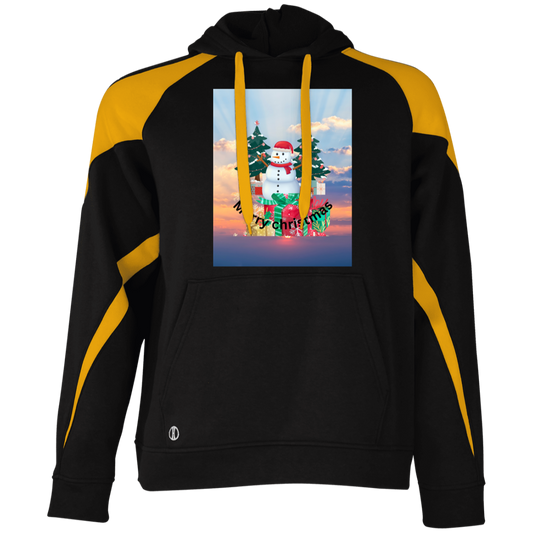 229546 Athletic Colorblock Fleece Hoodie